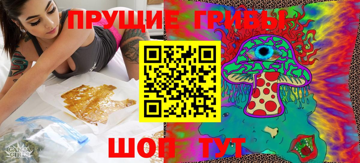 Псилоцибиновые грибы Psilocybine cubensis Пенза