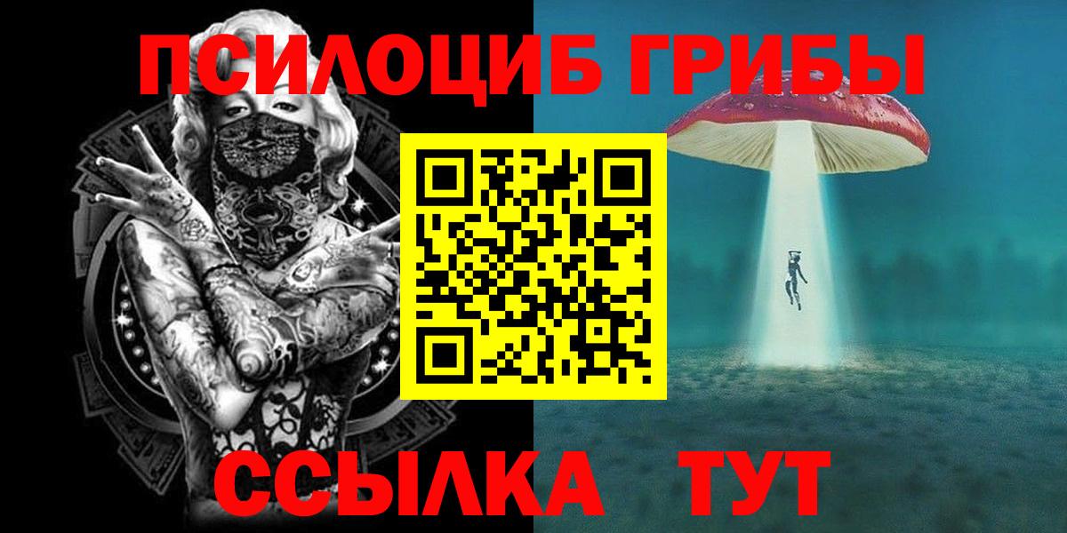Галлюциногенные грибы GOLDEN TEACHER  хочу   Пенза  Вход с VPN 